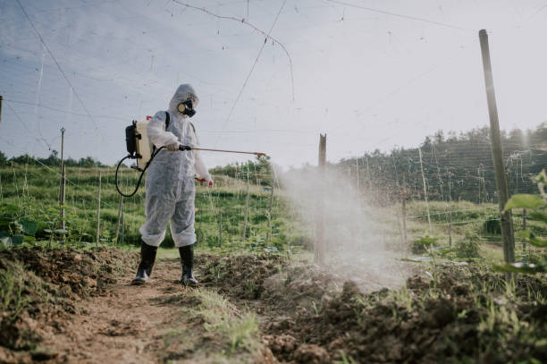 Best Mosquito Control Services  in South Holland, IL