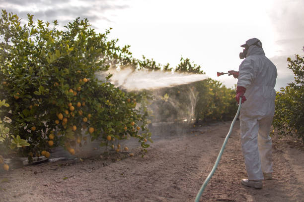 Best Commercial Pest Control Services  in South Holland, IL
