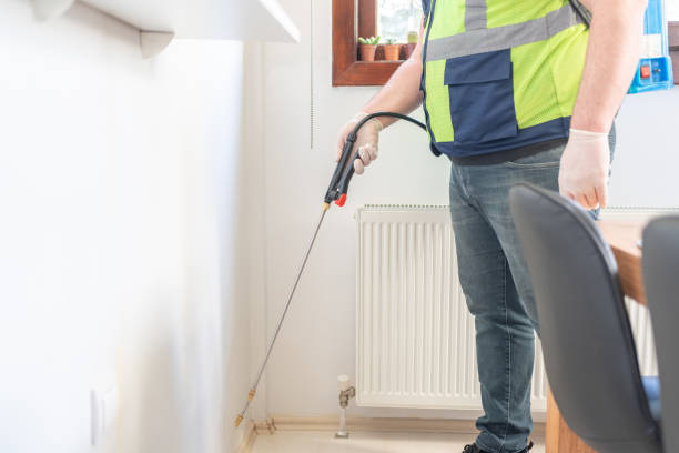 Best Pest Control Near Me  in South Holland, IL