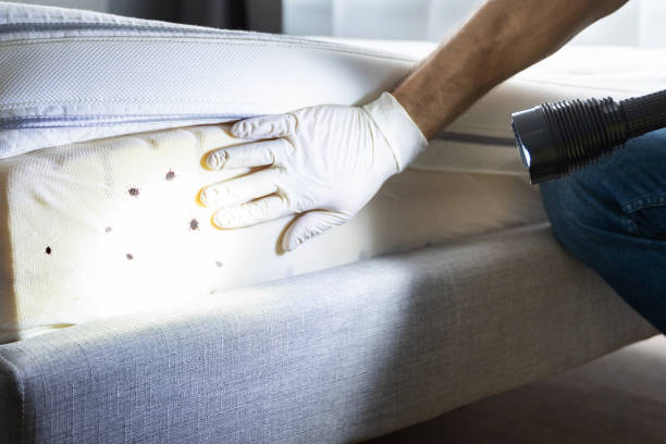 Wildlife Control Services in South Holland, IL
